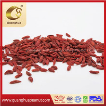 Perfect Hot Sale Dried Goji Berry From China